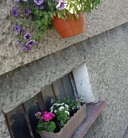 Szostka Nad Sola Апартаменты