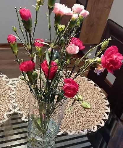 Szostka Nad Sola * Czaniec